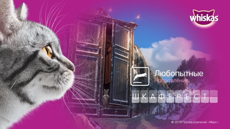 Открываем любопытные направления путешествий: новая кампания WHISKAS в честь Дня кошек