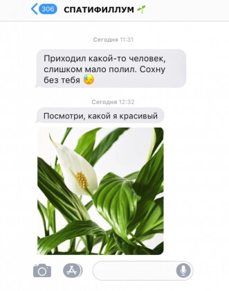 «Пустота на душе»: IKEA представила, как дом скучает без хозяина