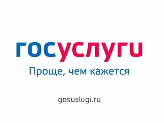 Минкомсвязь потратит 425 млн рублей, чтобы научить россиян пользоваться госуслугами