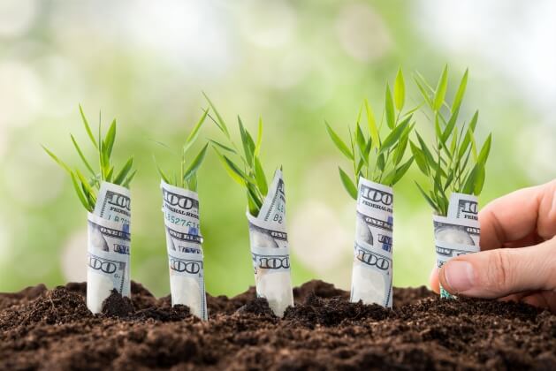 Инвестор Revolut вложился в онлайн-аутлет Otrium